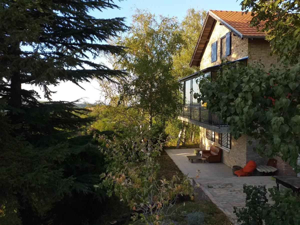 Lodging Vidmar Sremski Karlovci Exteriér fotografie
