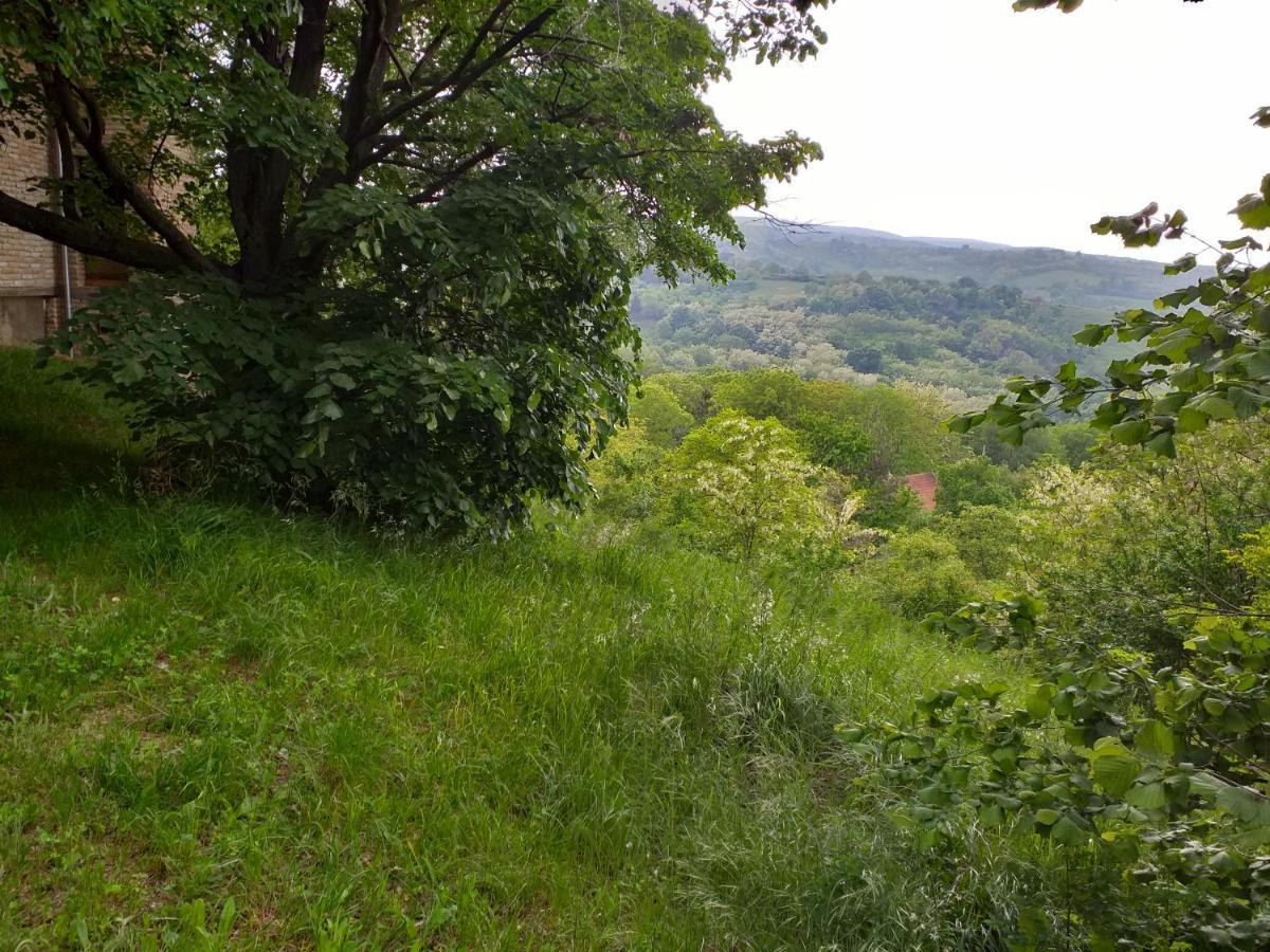 Lodging Vidmar Sremski Karlovci Exteriér fotografie