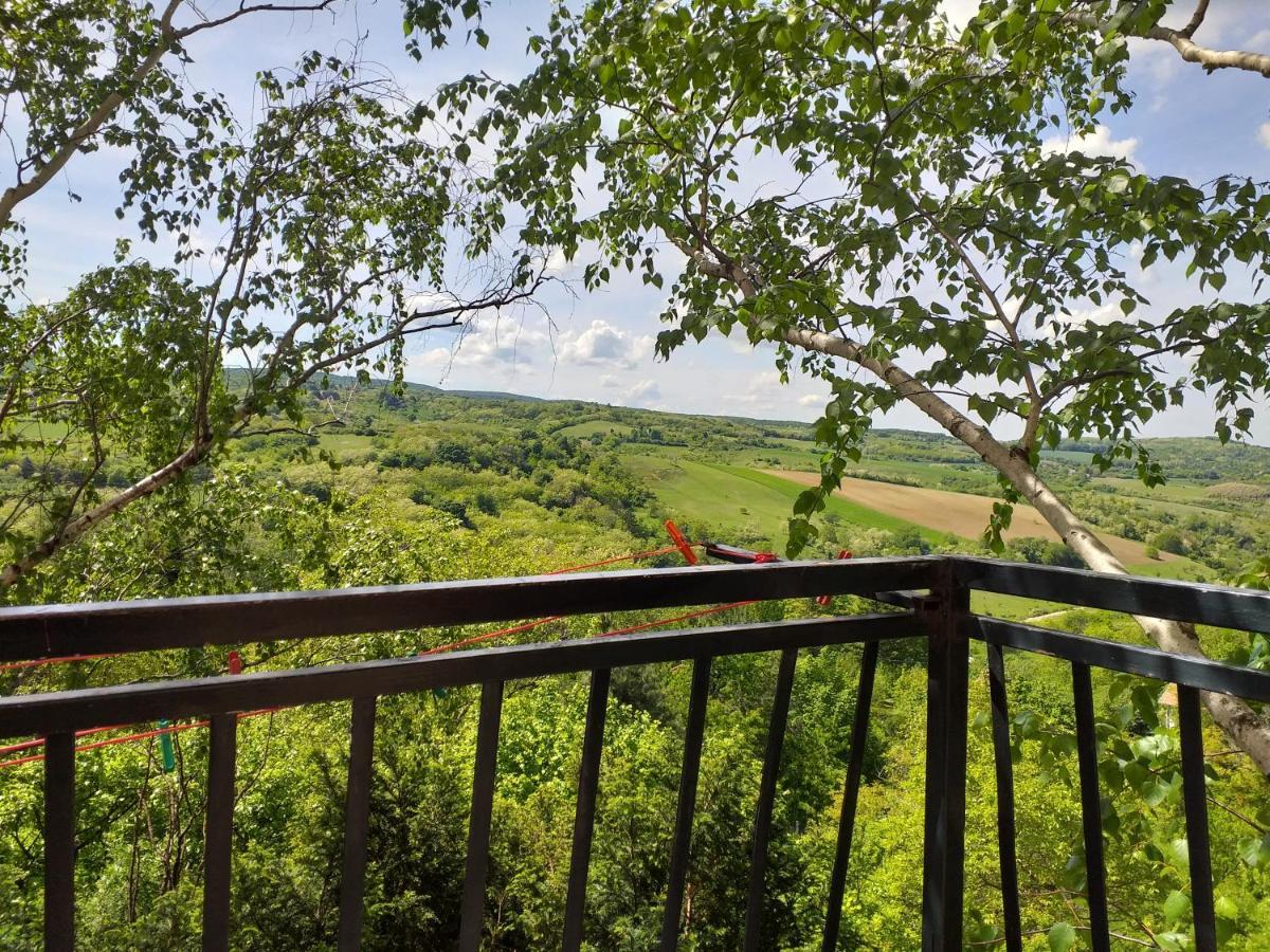 Lodging Vidmar Sremski Karlovci Exteriér fotografie