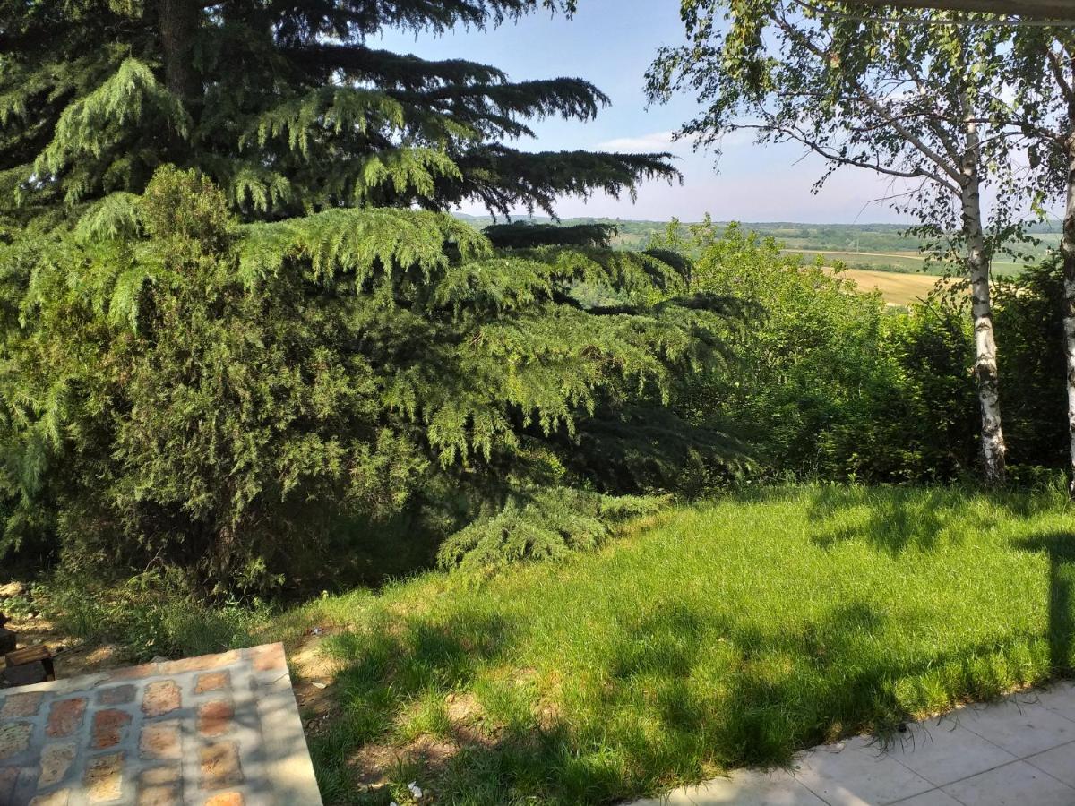 Lodging Vidmar Sremski Karlovci Exteriér fotografie