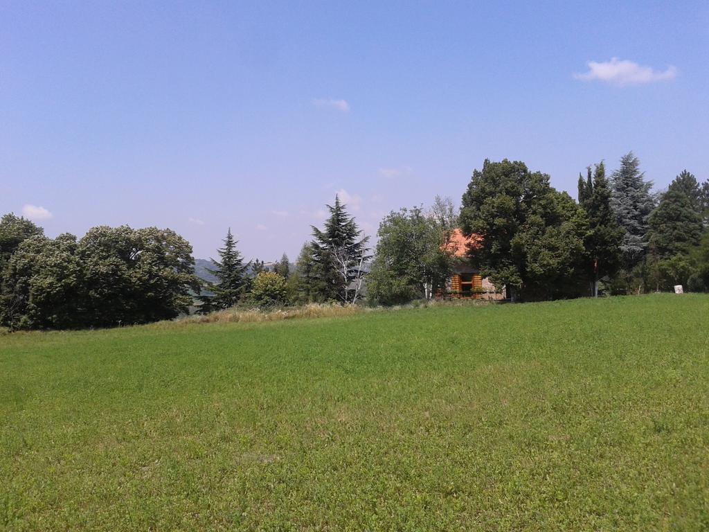 Lodging Vidmar Sremski Karlovci Pokoj fotografie