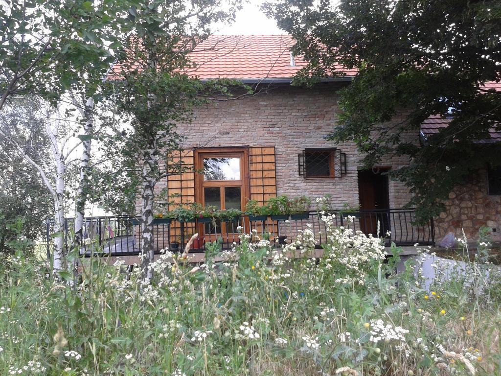 Lodging Vidmar Sremski Karlovci Exteriér fotografie