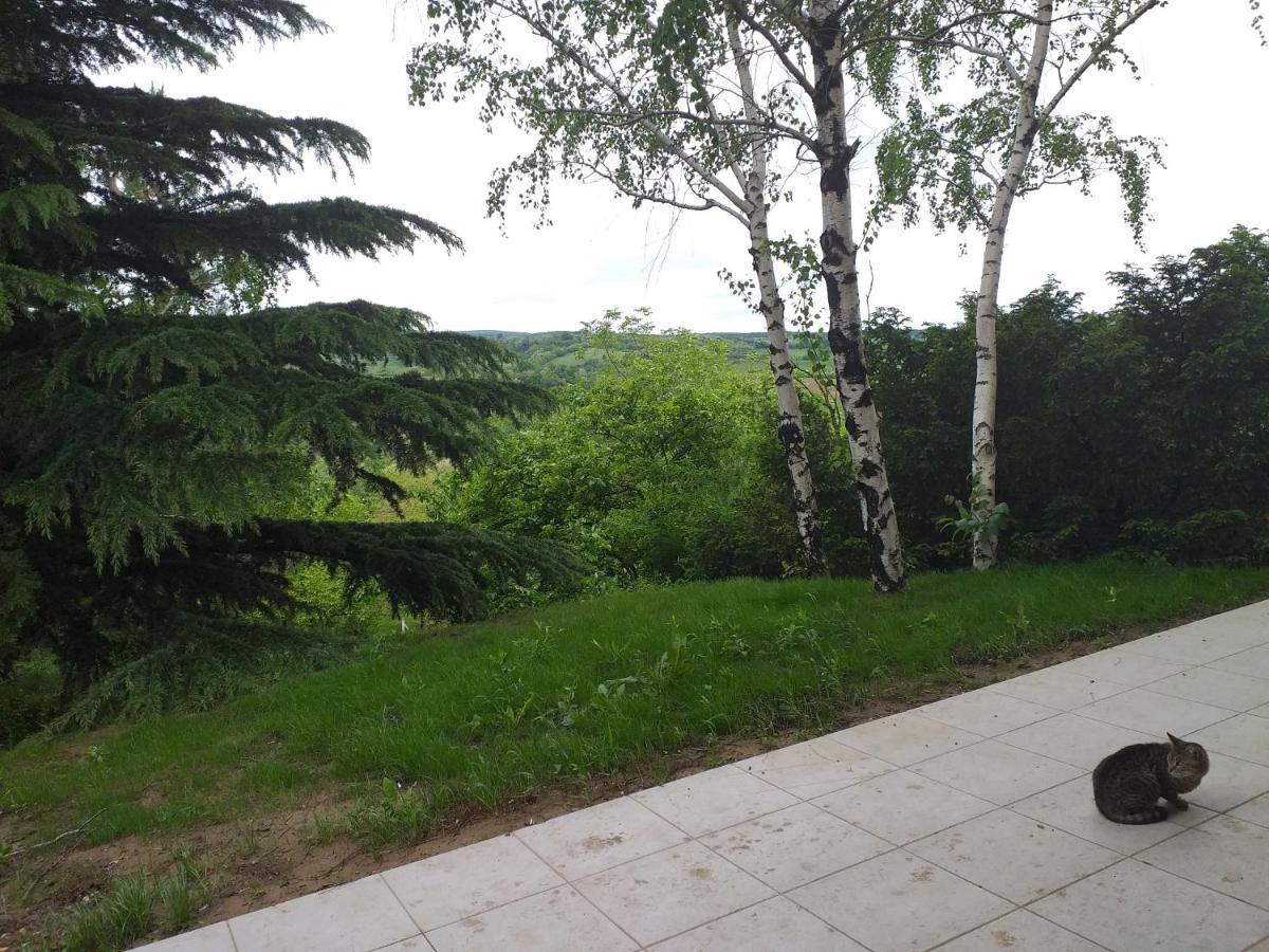 Lodging Vidmar Sremski Karlovci Exteriér fotografie